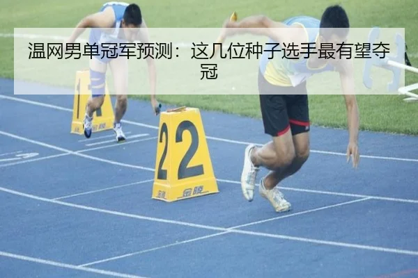 温网男单冠军预测：这几位种子选手最有望夺冠